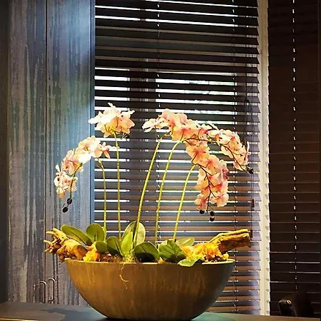 Blossoms Hotel Amsterdam